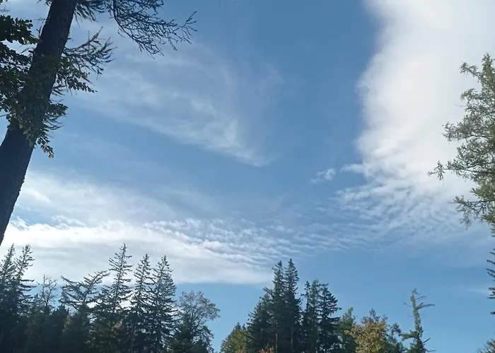 Chalet Lawendowe Wzgorze