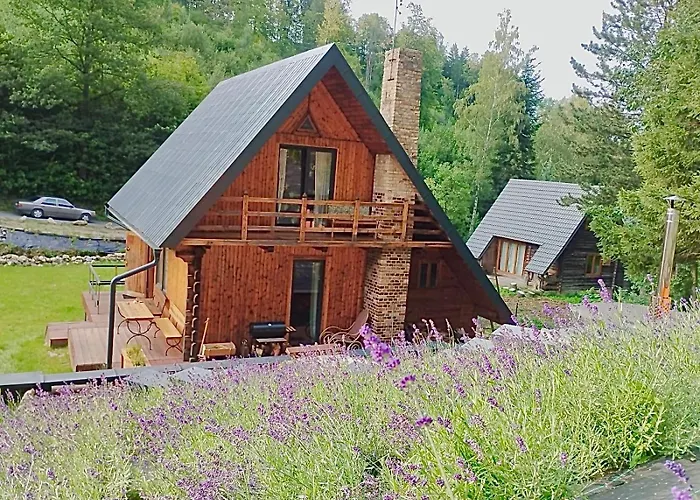 Lawendowe Wzgorze Pieszyce