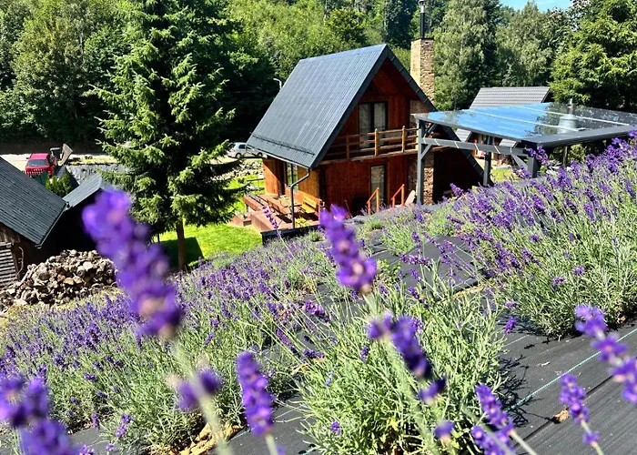 Lawendowe Wzgorze Chalet